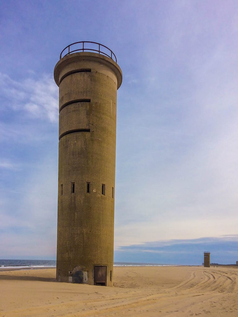 are dogs allowed at cape henlopen