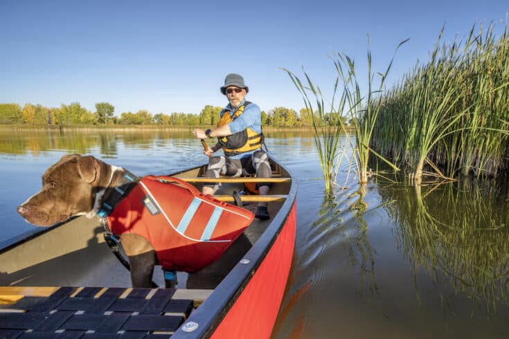 The Complete Guide to Kayaking and Canoeing with Dogs