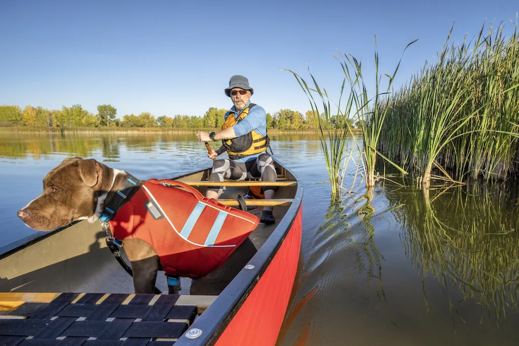A man and a dog share a red canoe in a lake. Both are wearing life jackets.