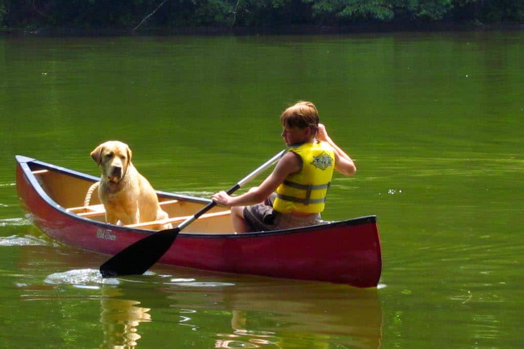A dog in a canoe with a young boy.