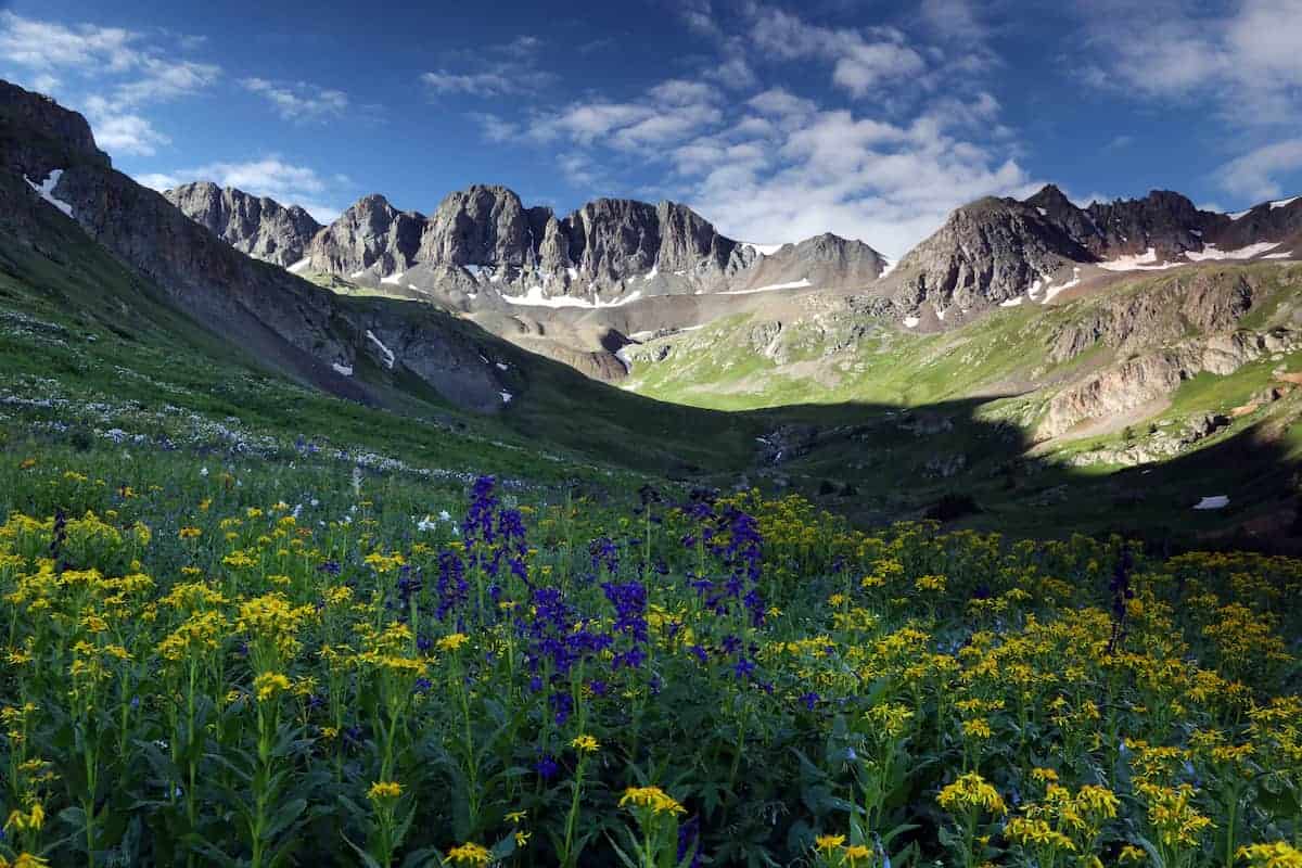 One of several gorgeous wildflower hikes in Colorado Rockies.