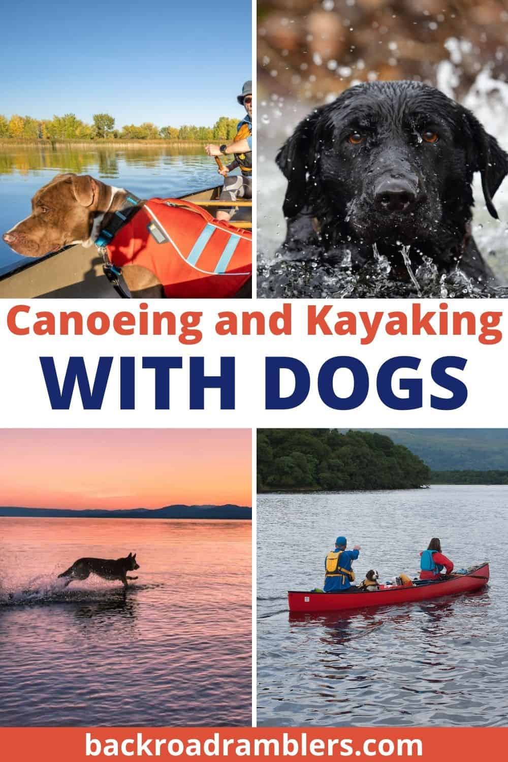 A collage of photos featuring dogs in kayaks and canoes. Text overlay: Canoeing and Kayaking with Dogs.