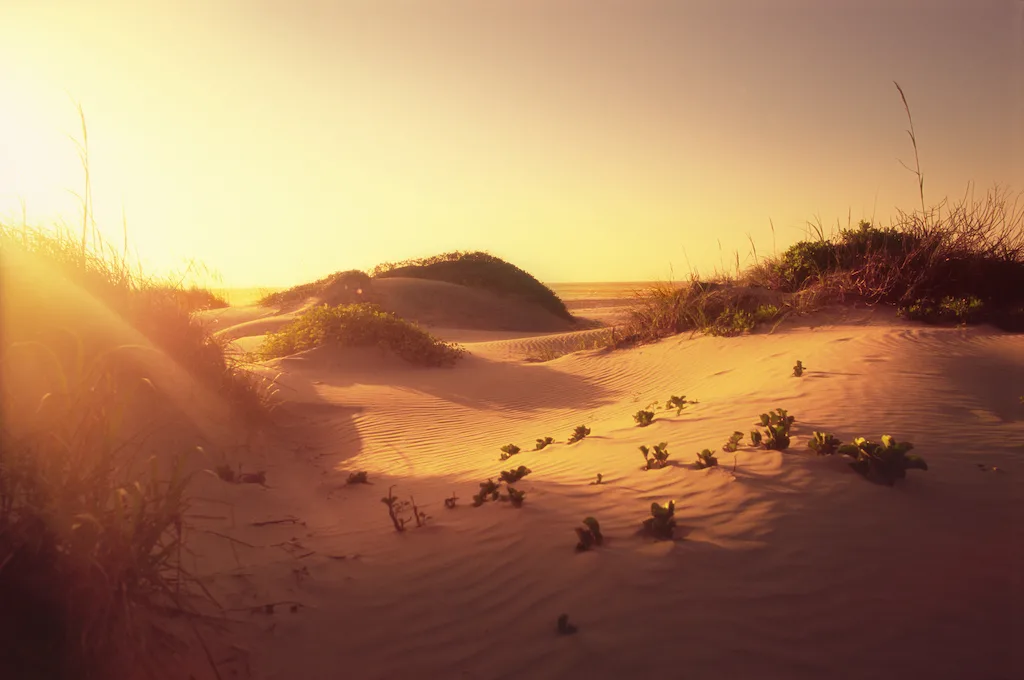 Beautiful Padre Island National Seashore in Texas.