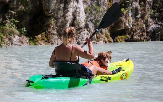 The Complete Guide to Kayaking and Canoeing with Dogs