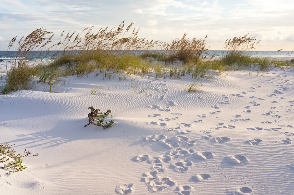 Secluded Beach Vacations in the USA for Outdoor Lovers 1 A secluded beach in Florida, USA.