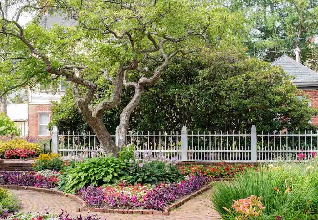 Gardens at Prescott Park in Portsmouth, NH.