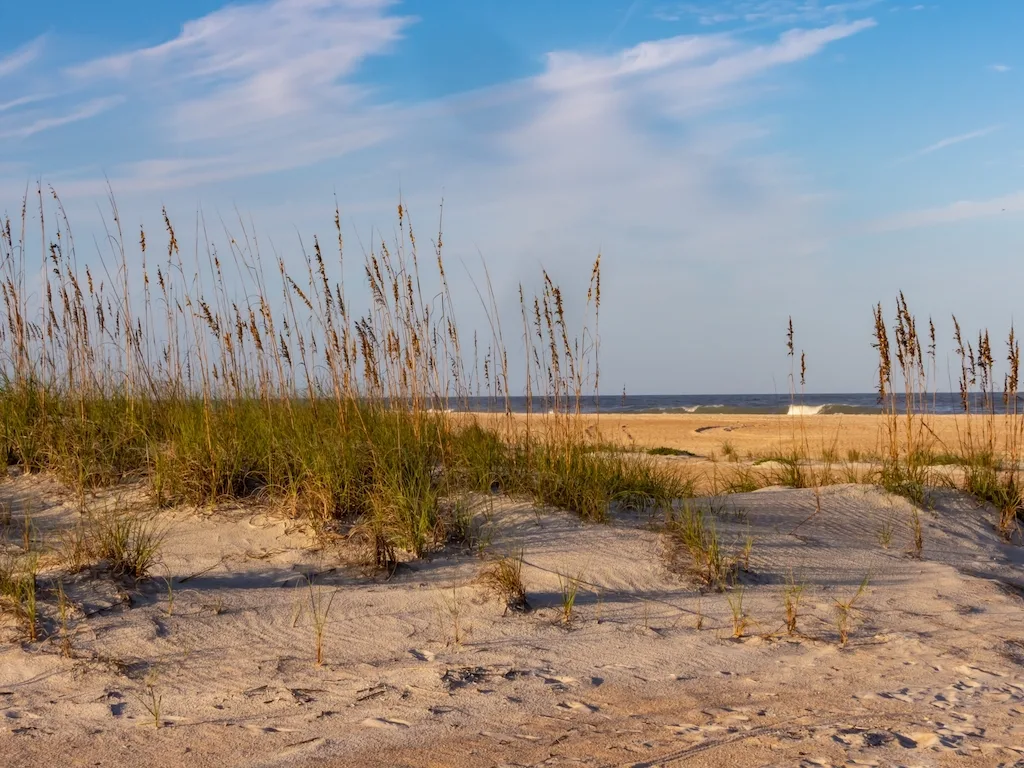 anastasia state park dp