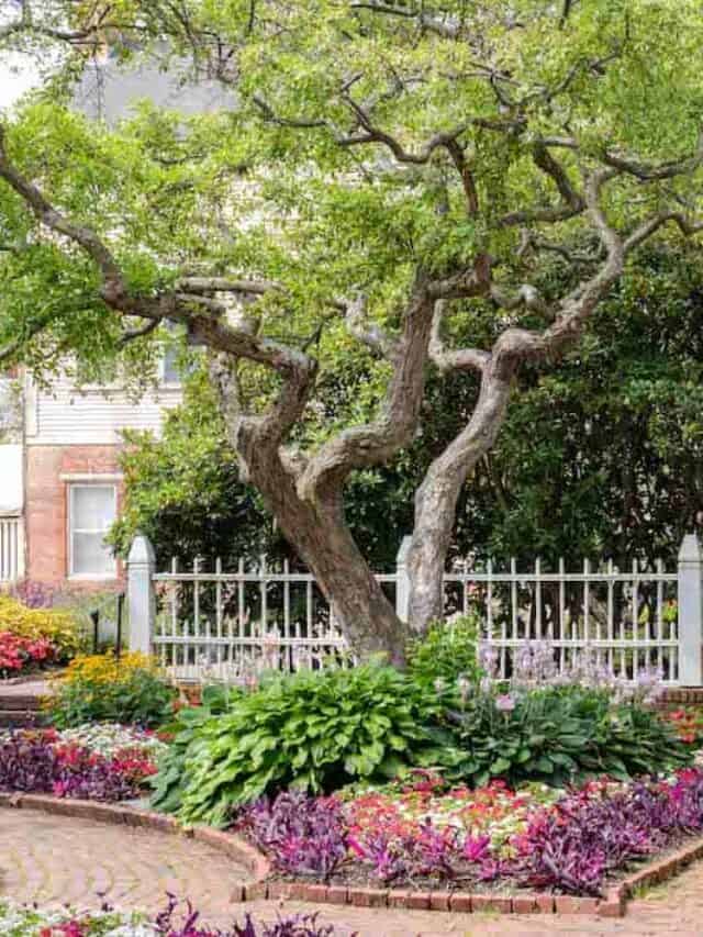cropped-Prescott-Park-Gardens-Portsmouth.jpg