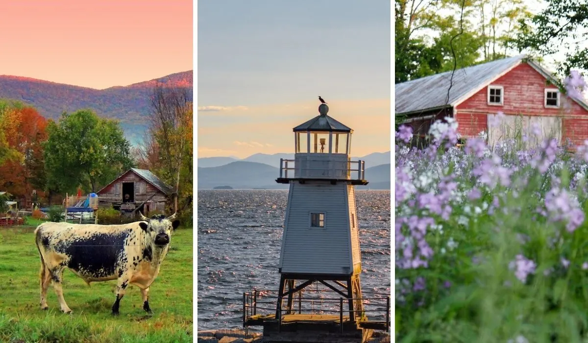 A collage of photos featuring scenes on Route 7 Vermont.