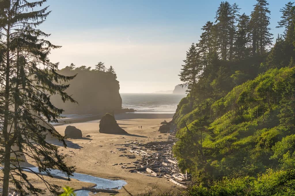 Pacific Ocean views from Ruby Beach in Olympic National Park, Washington.