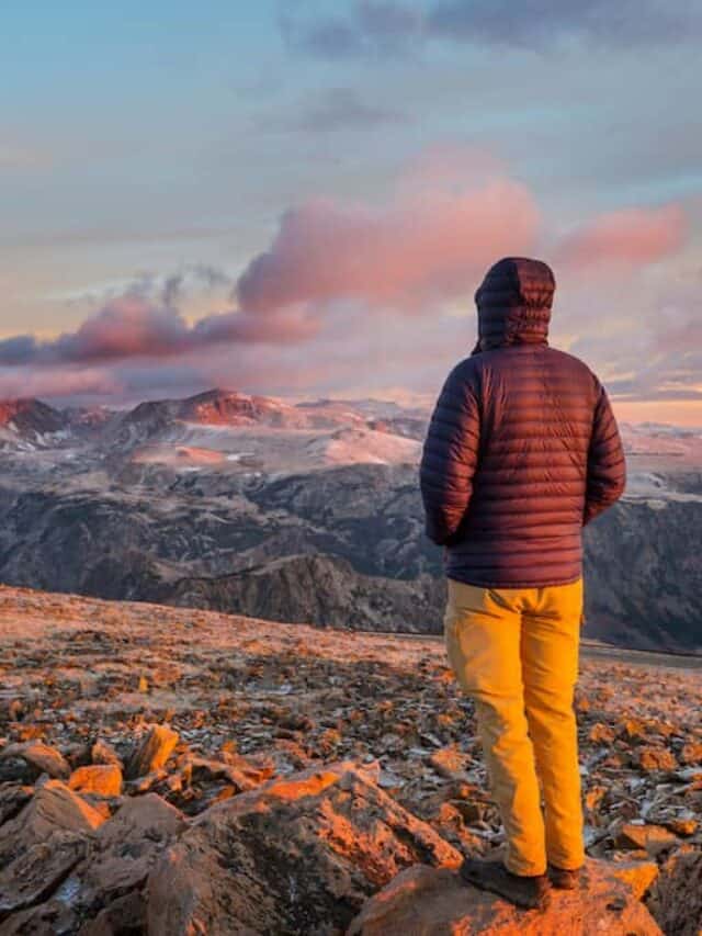 cropped-beartooth-pass-national-forests-dp.jpeg