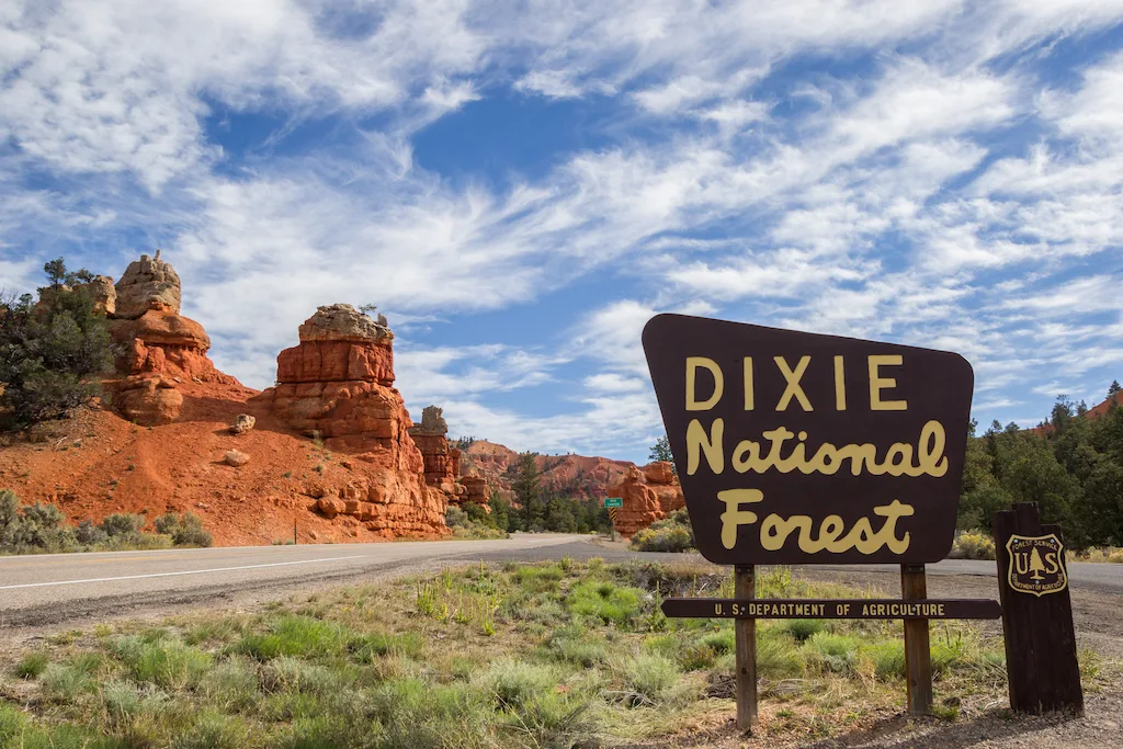 dixie national forest dp