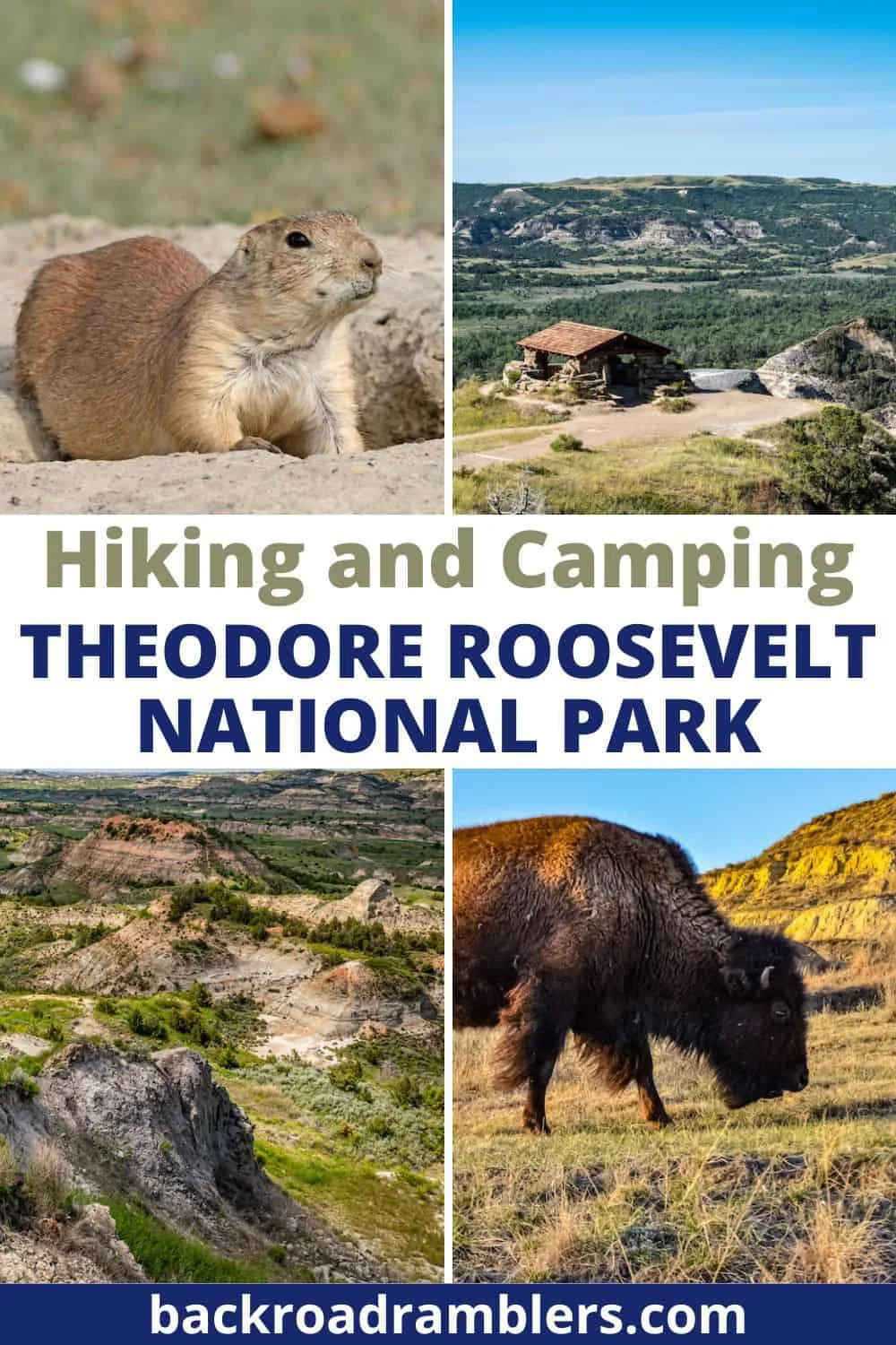 A collage of photos featuring animals and viewpoints in Theodore Roosevelt National park. Text overlay: Hiking and Camping in Theodore Roosevelt National Park.
