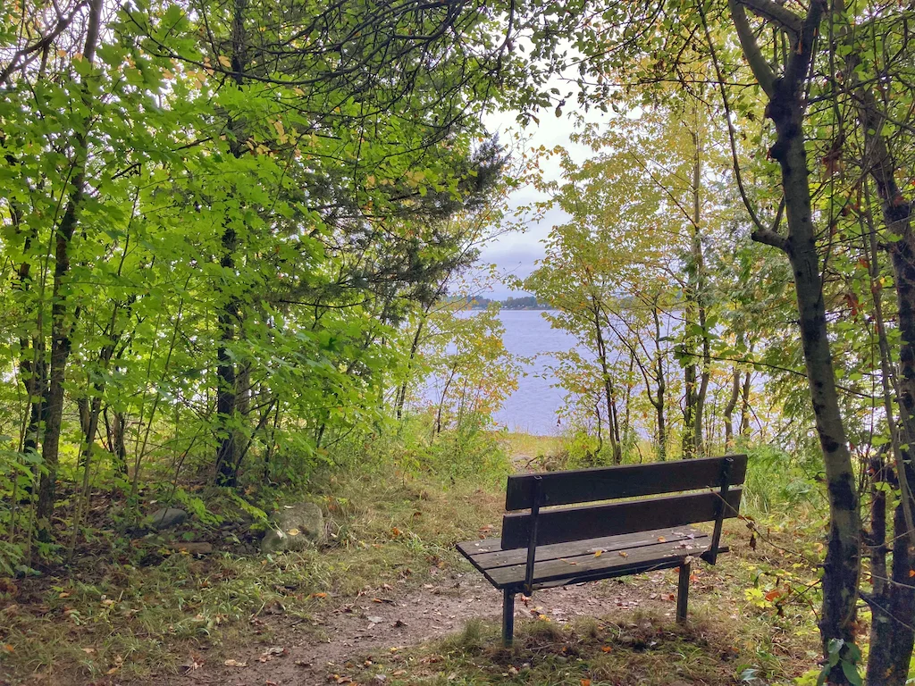 A bench in the woods at Knight Point State Park in Vermont.