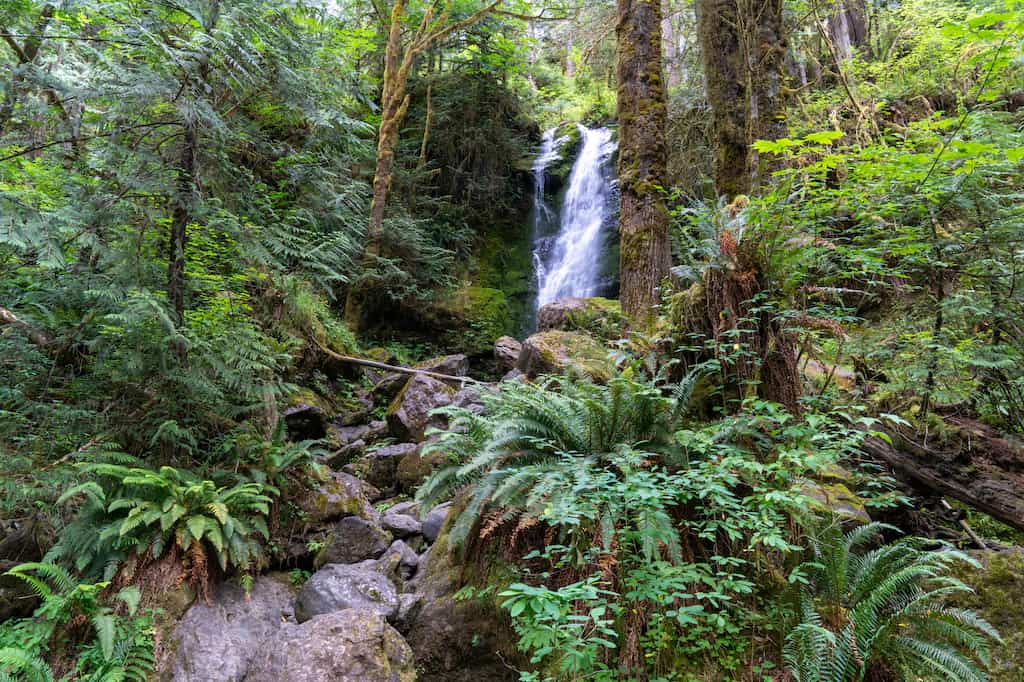 Merriman Falls in Quinault Rain Forest.