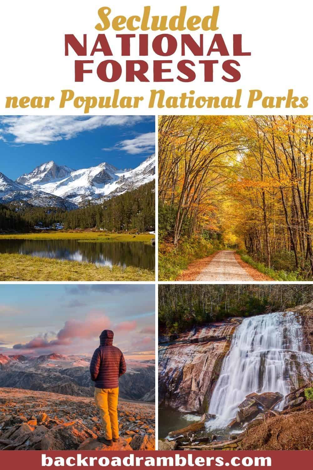 A collage of photos featuring beautiful and secluded national forests near national parks.