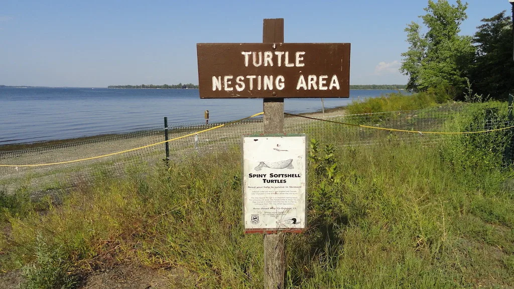 A turtle nesting sign near the beach at North Hero State Park in Vermont.