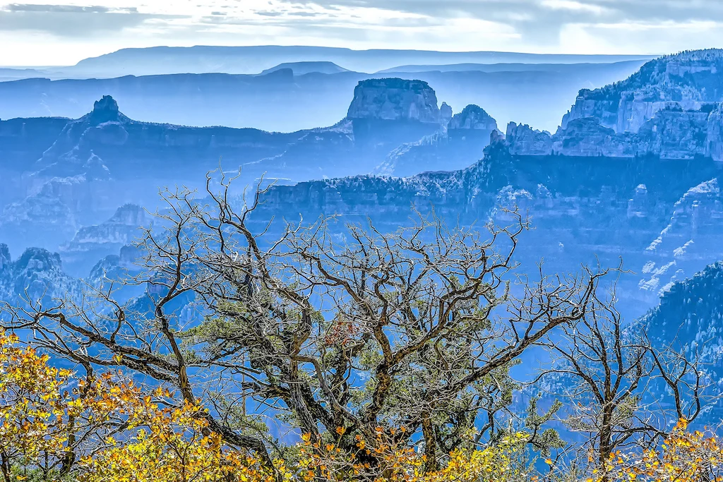 The North Rim of the Grand Canyon in Arizona.