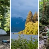 A collage of photos featuring the Quinault Rain Forest in Olympic National Park.