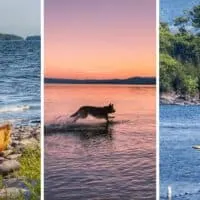 A collage of photos featuring people and dogs on Lake Champlain in Vermont.