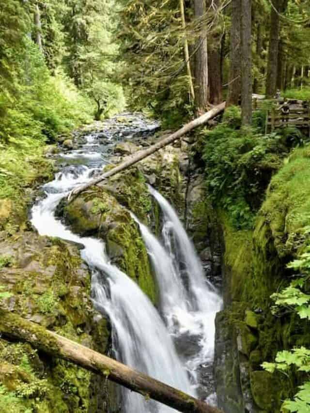 Camping in Olympic National Park: Sol Duc Valley