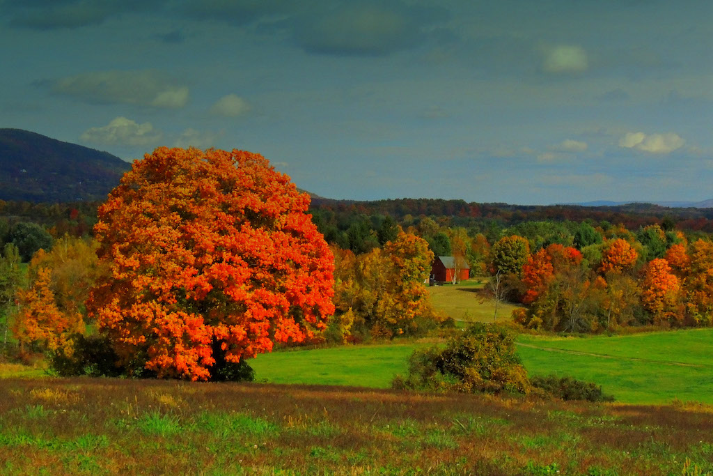 Farm fields in North Bennington during fall foliage season.
