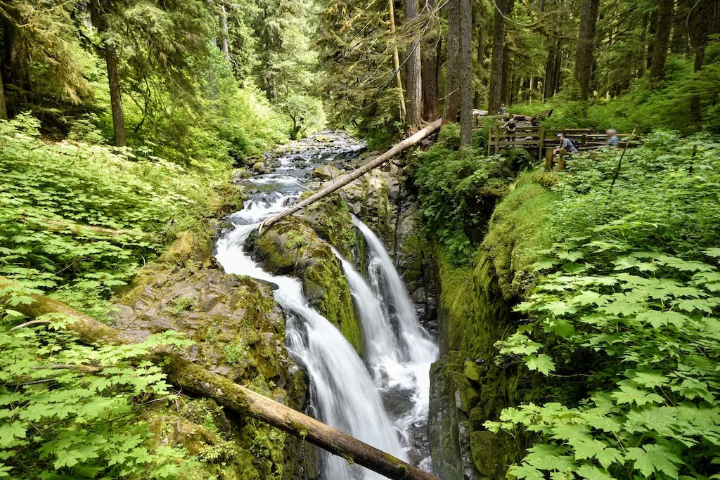 sol duc falls in Olympic National Park.