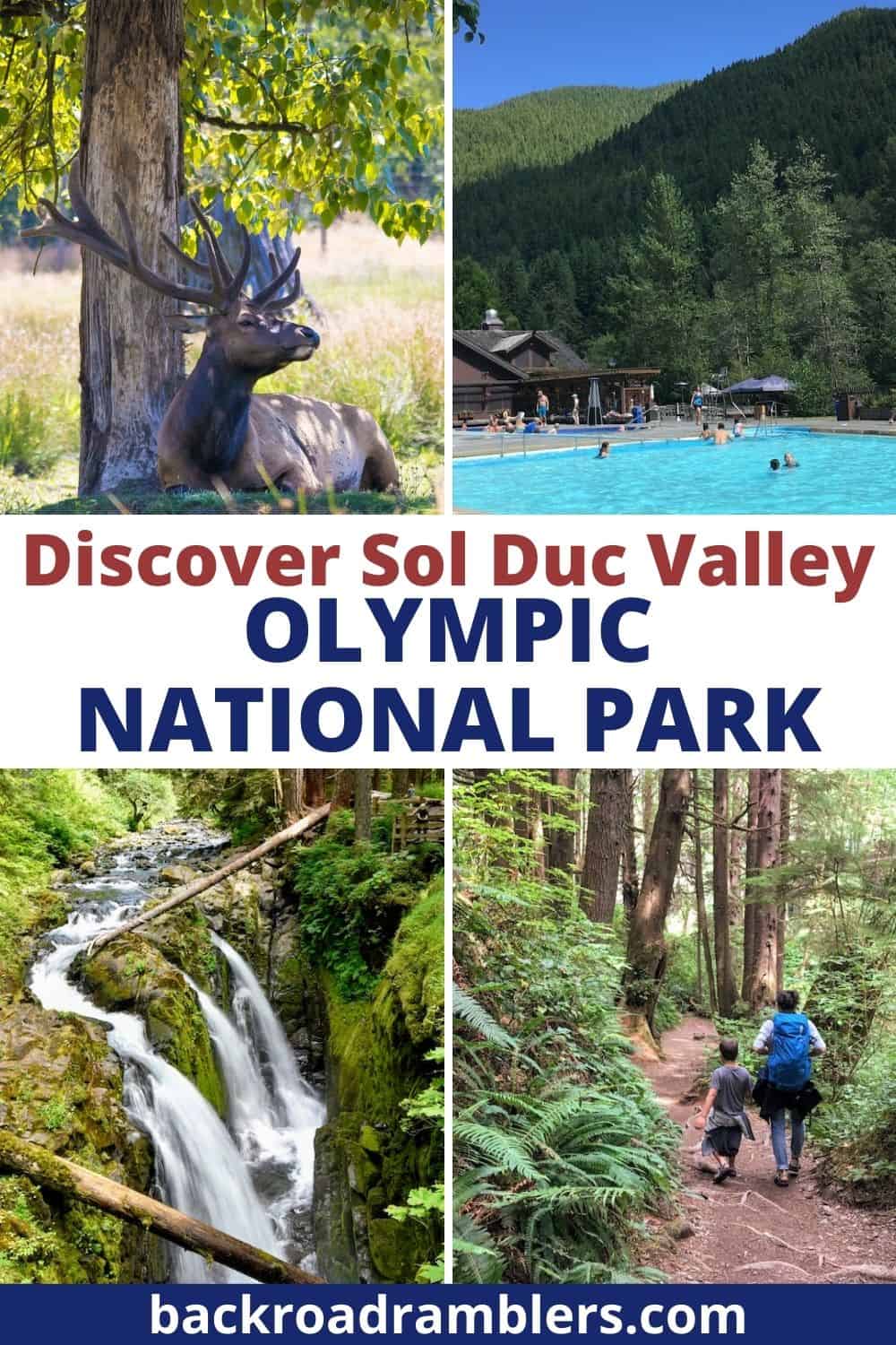 A collage of photos featuring the Sol Duc Valley in Olympic National Park - a Roosevelt Elk, Sol Duc Hot Springs, Sol Duc Falls, and a Sol Duc hiking trail.