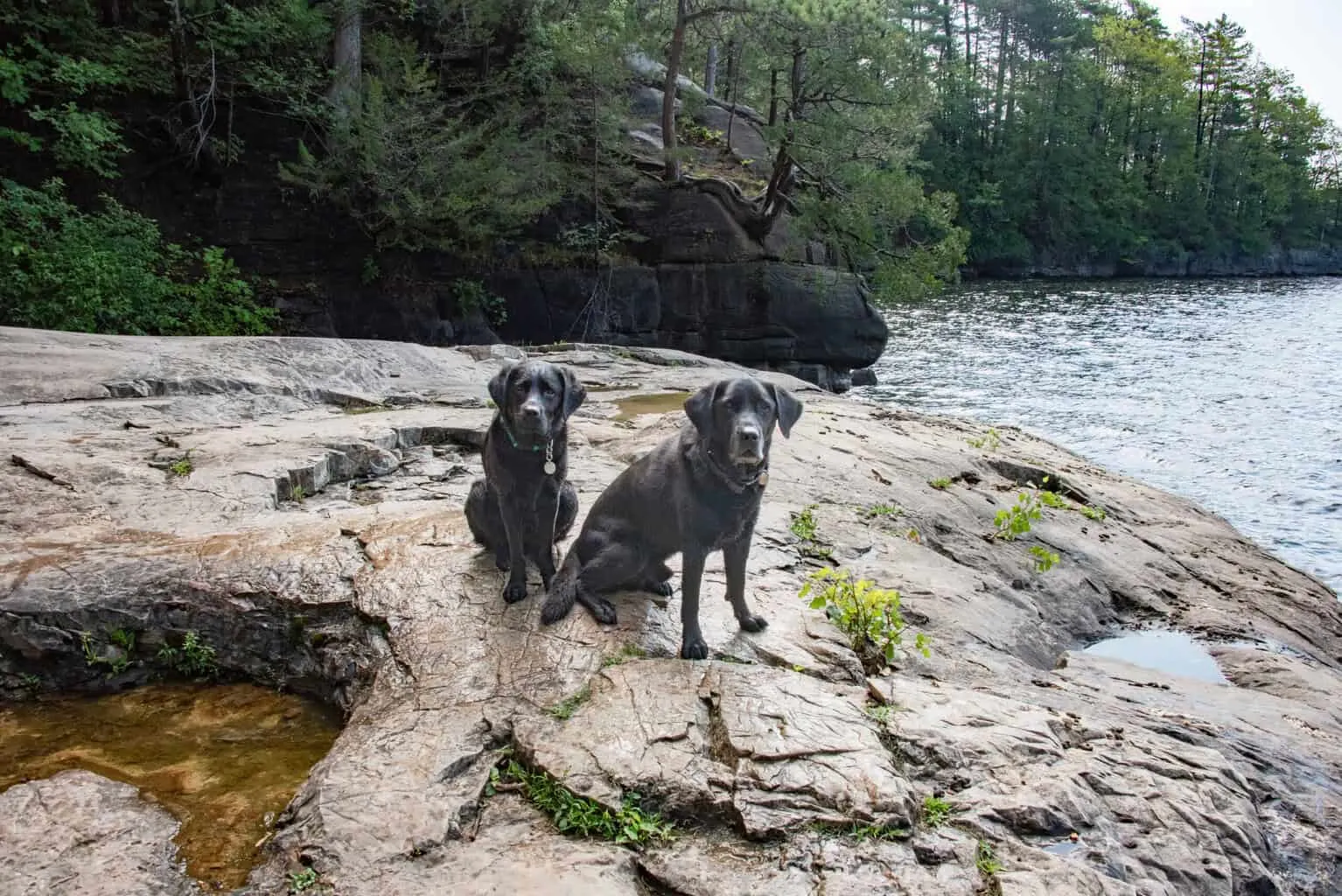 Flynn and Malinda before swimming at Calm Cove in Niquette Bay State Park.