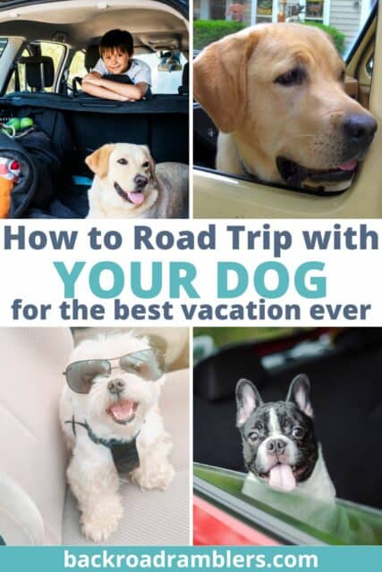 best road trip destinations with dogs
