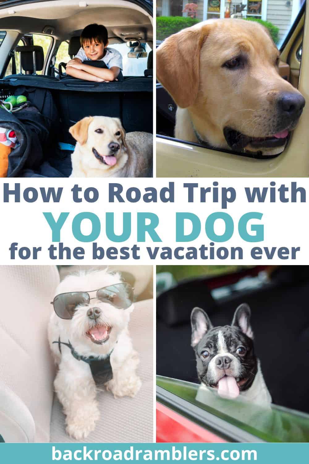A collage of photos featuring ra oad trip with dogs. Text overlay: How to road trip with your dog for the best vacation ever. .