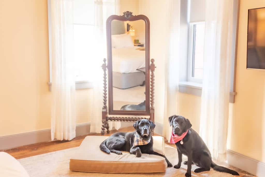 Flynn and Malinda posing in front of an ornate mirror at Hotel on North in Pittsfield.