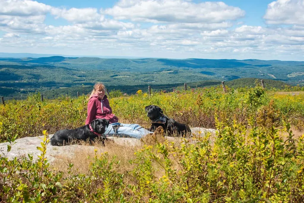 View of the mountains from a vista in Pittsfield State Forest.