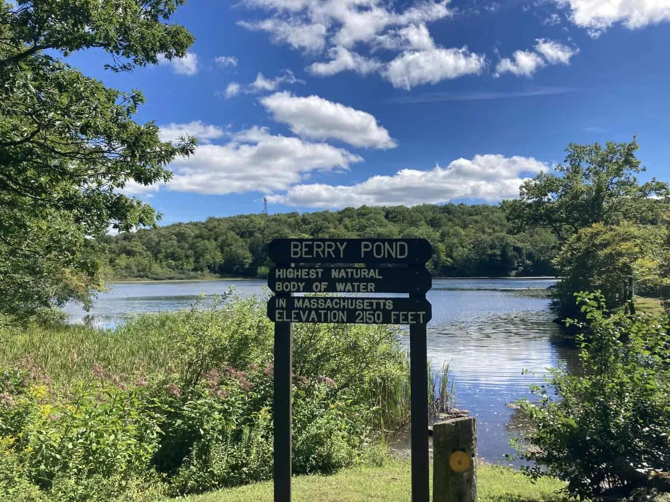 Berry Pond in Pittsfield State Forest in Massachusetts.