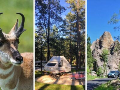 Beautiful Custer State Park Camping: Blue Bell Campground
