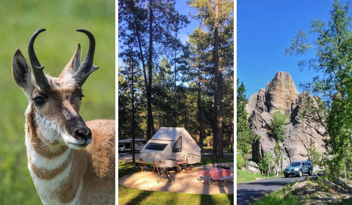 A collage of photos featuring Custer State Park camping.