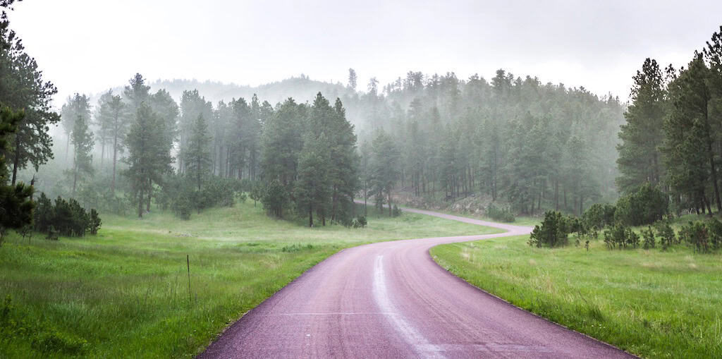 A road leading through Custer State Park. 