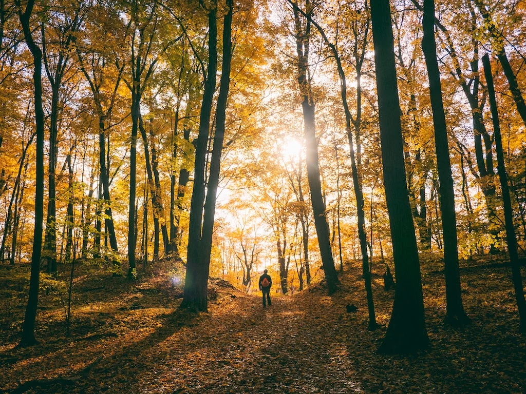 fall hiking unsplash