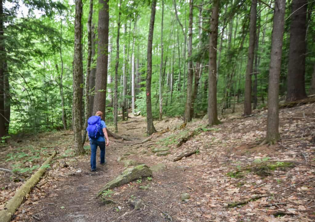 Tara walking through the woods toward Mount Monadnock in New Hampshire. 