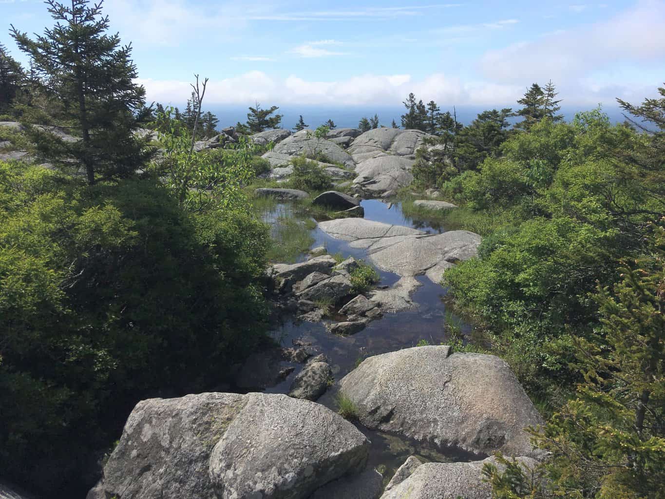 White Cross Trail covered with water on Mount Monadnock. 