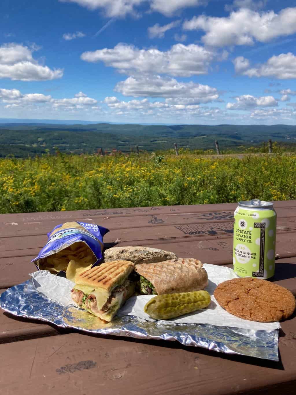 Picnic lunch with a view of the mountains in Pittsfield, MA.
