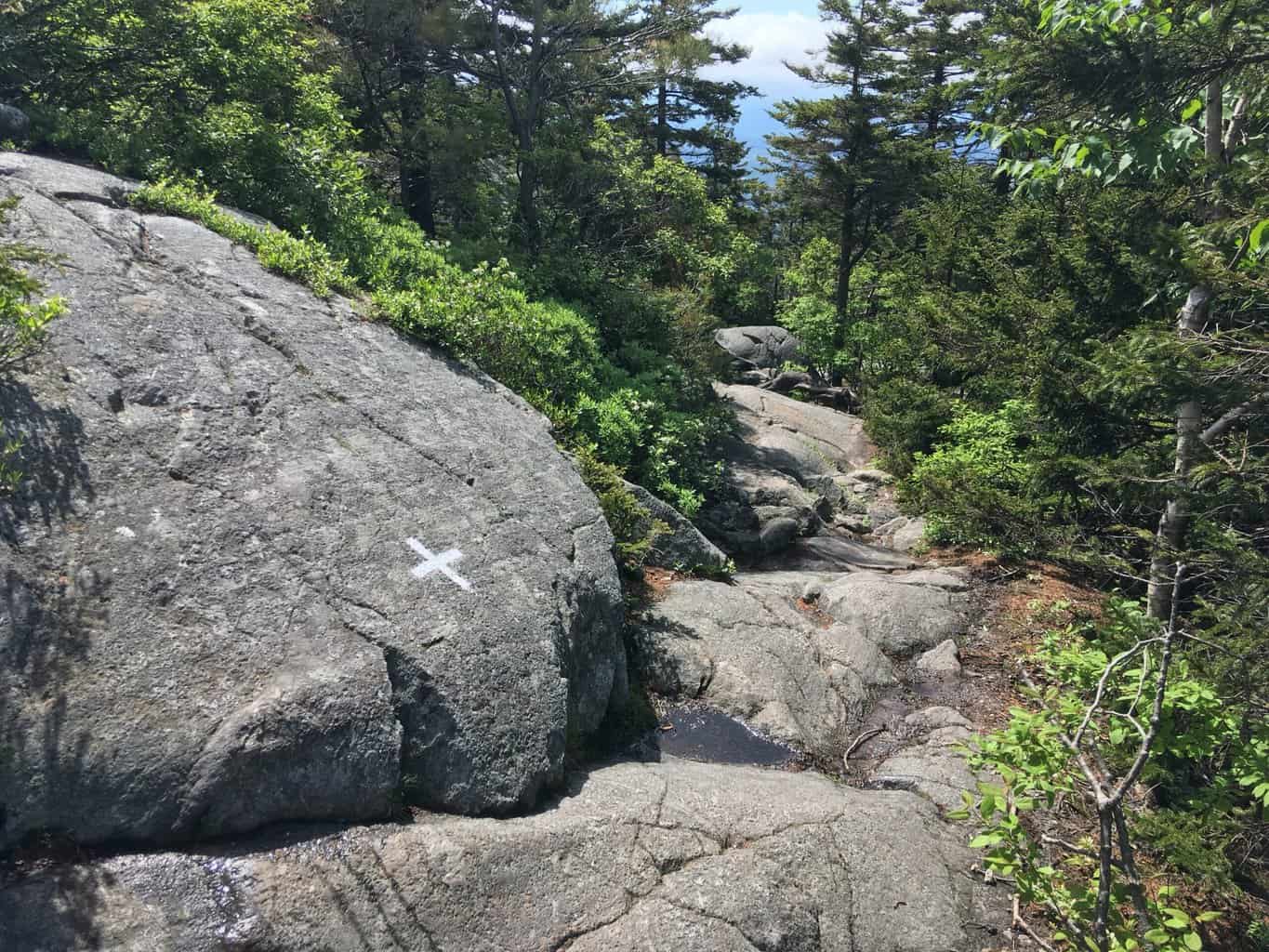 White Cross Trail on Mount Monadnock in New Hampshire. 