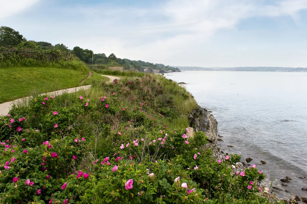 Cliff Walk in Newport, Rhode Island.