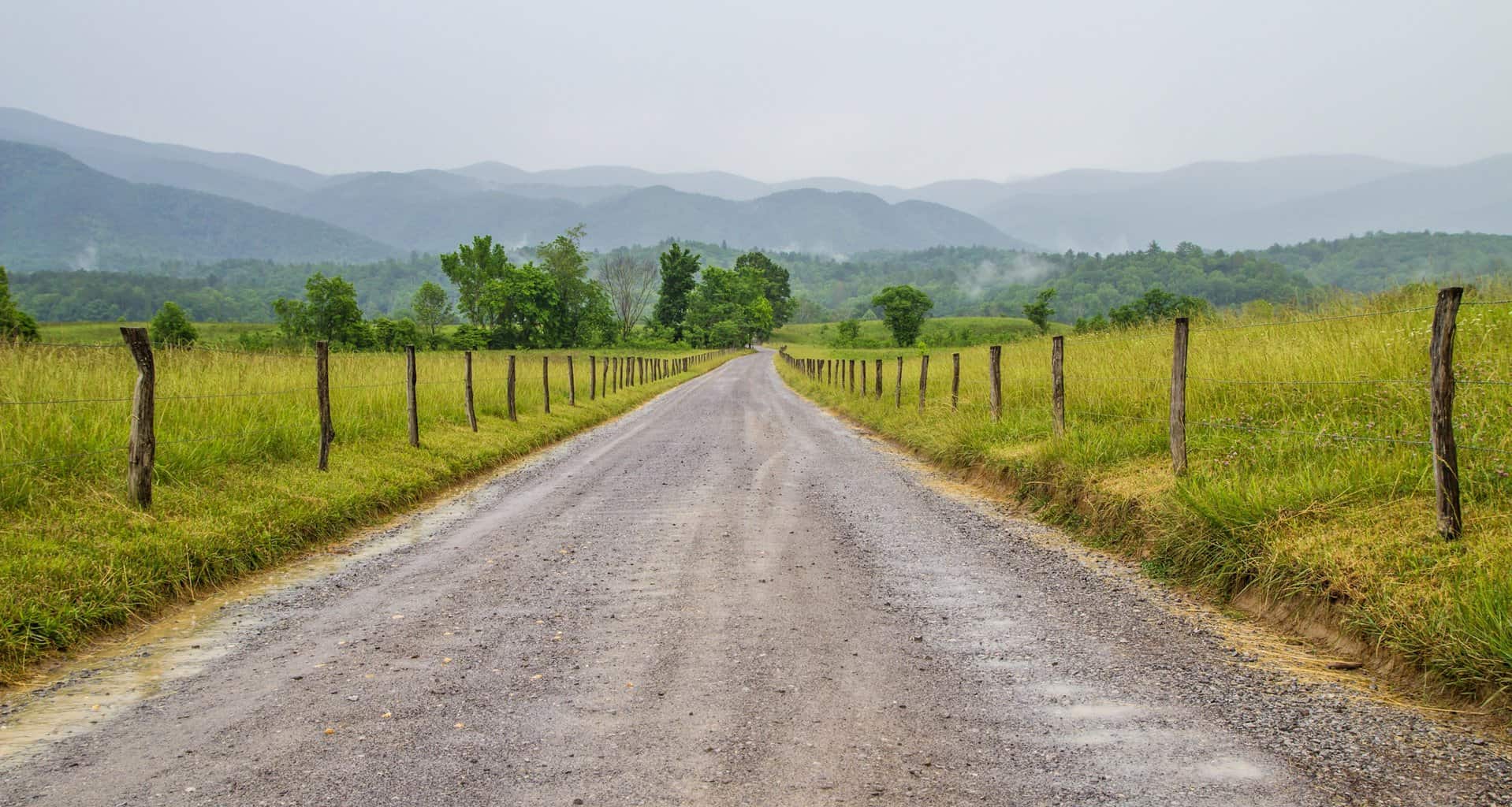 A dirt road leading into Cades Cove in Great Smoky Mountains National Park.