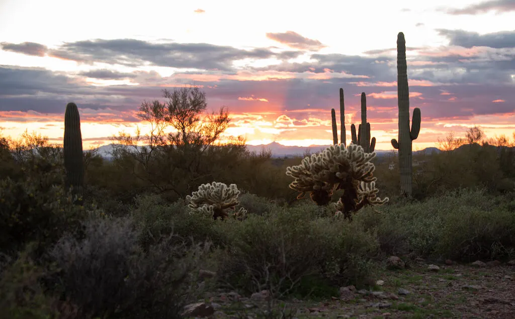 Sunset from the Discovery Trail in Lost Dutchman State Park.