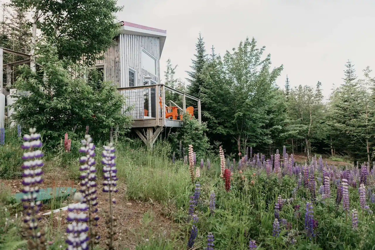 Hummingbird cabin at Sally's Brook Wilderness Cabins on Hipcamp.
