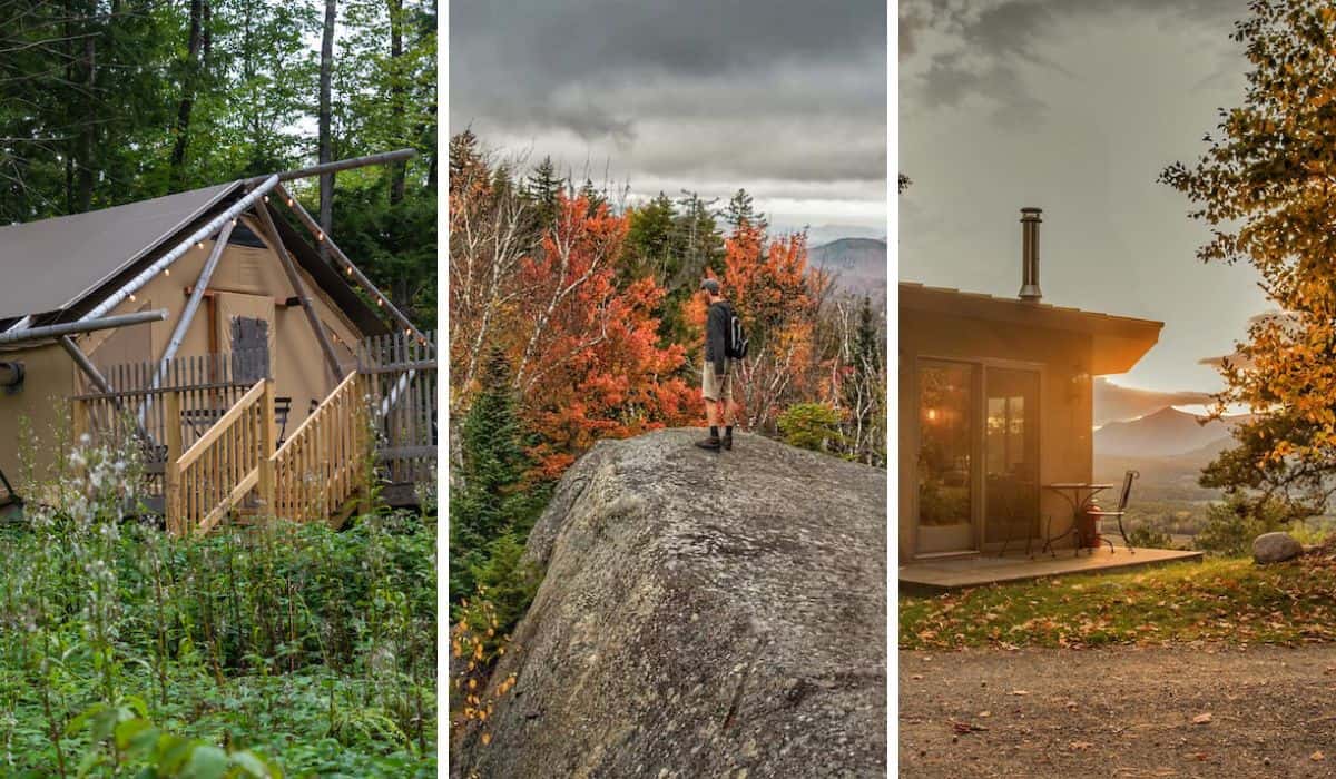several Adirondack cabins for short-term rentals.