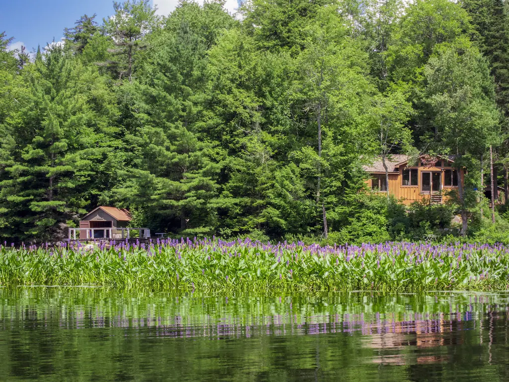 A cabin nestled in the woods with views of a lake in the Adirondacks.