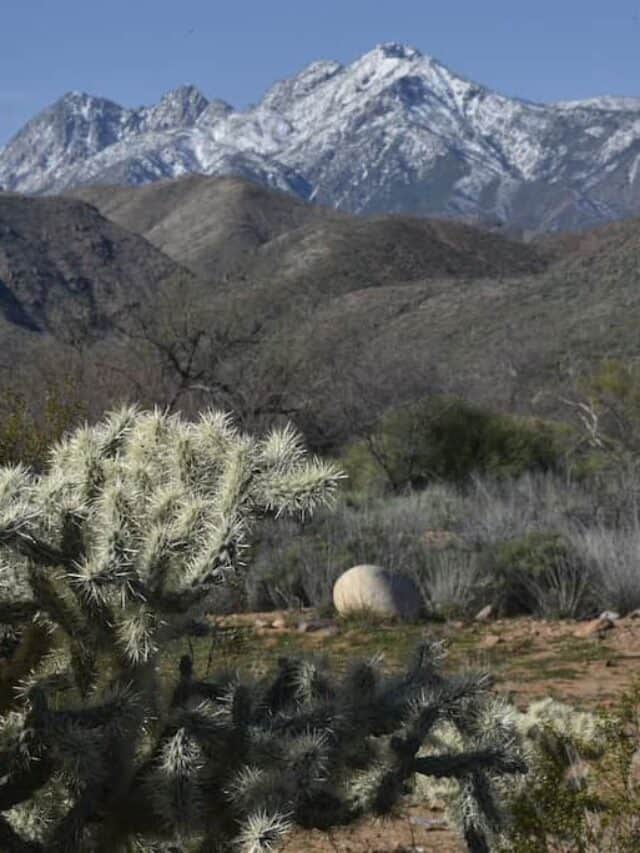 cropped-tonto-national-forest-four-peaks.jpeg