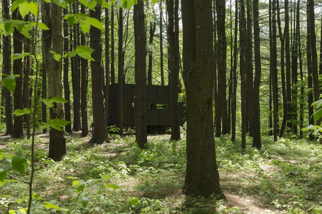 Getaway tiny cabin in the woods in the Catskills of New York.